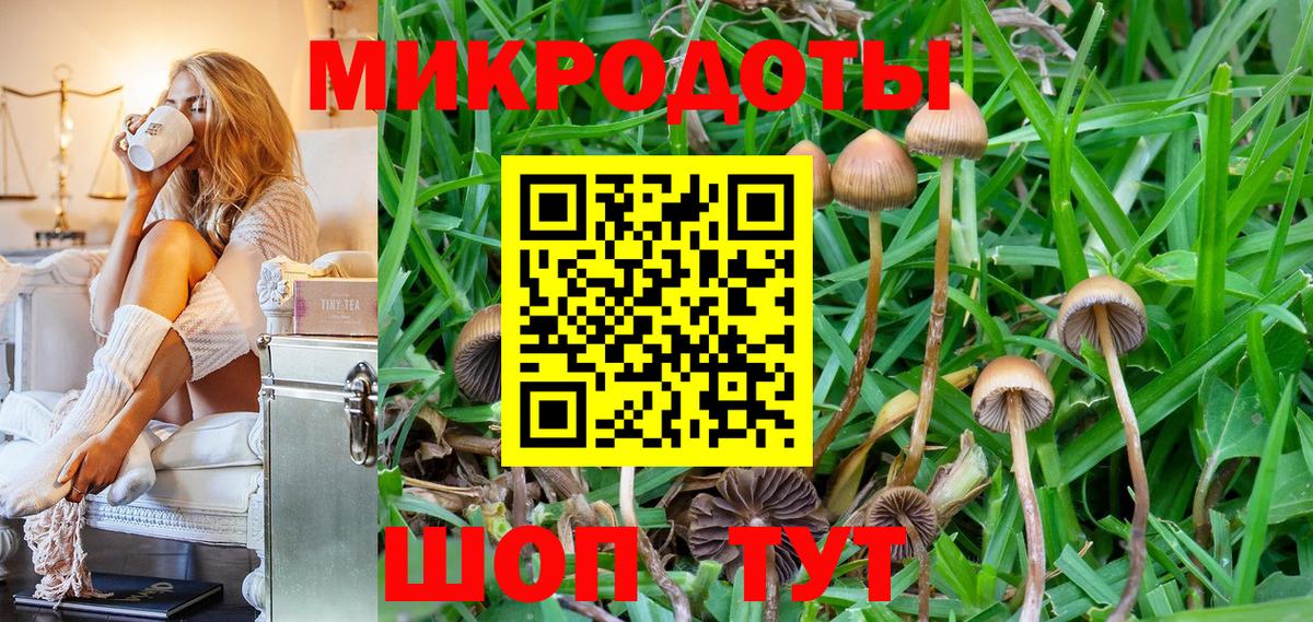 Одинцово  Галлюциногенные грибы MAGIC MUSHROOMS  Вход с VPN 